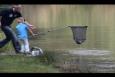 IMG 0781