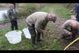 IMG 5822 (Kopie)