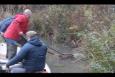 IMG 5864 (Kopie)