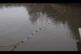 IMG 5895 (Kopie)