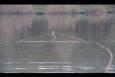 IMG 5901 (Kopie)