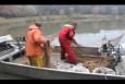 IMG 5948 (Kopie)