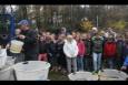 IMG 6014 (Kopie)