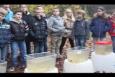 IMG 6268 (Kopie)