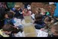 IMG 6283 (Kopie)