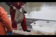IMG 6374 (Kopie)
