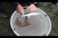 IMG 6516 (Kopie)